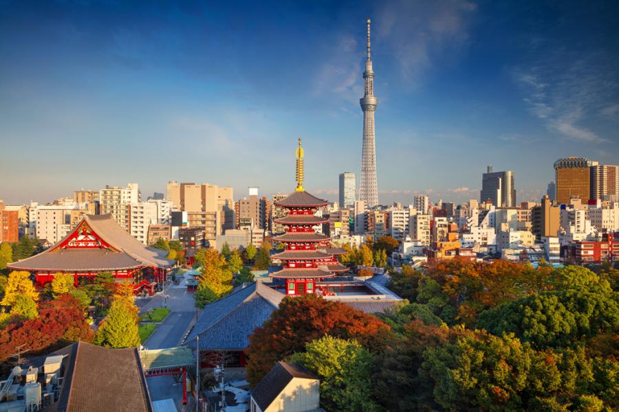 Yılbaşı Özel Japonya Turu