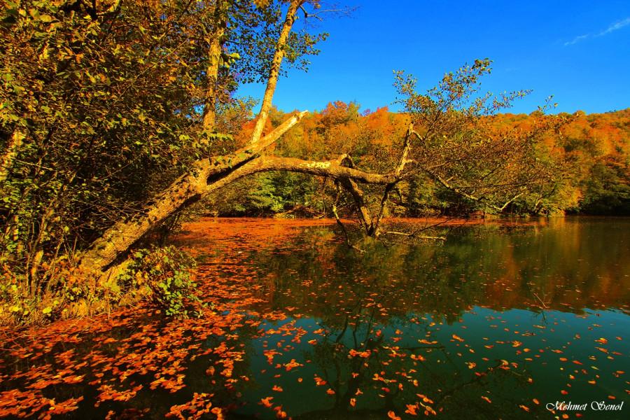 Yedigöller Turu İznik Çıkışlı