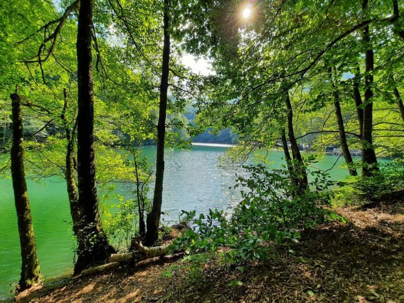 Yedigöller Turu İznik Çıkışlı