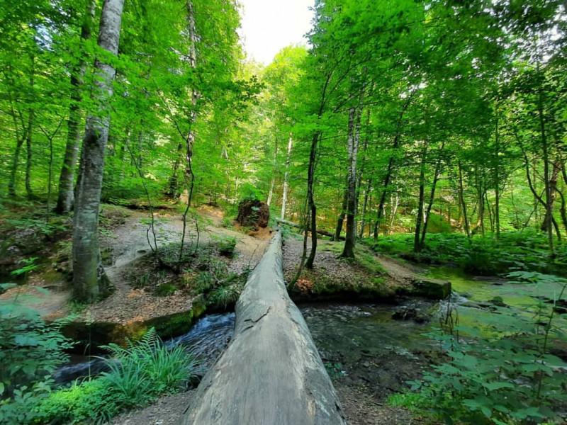 Yedigöller Turu İznik Çıkışlı