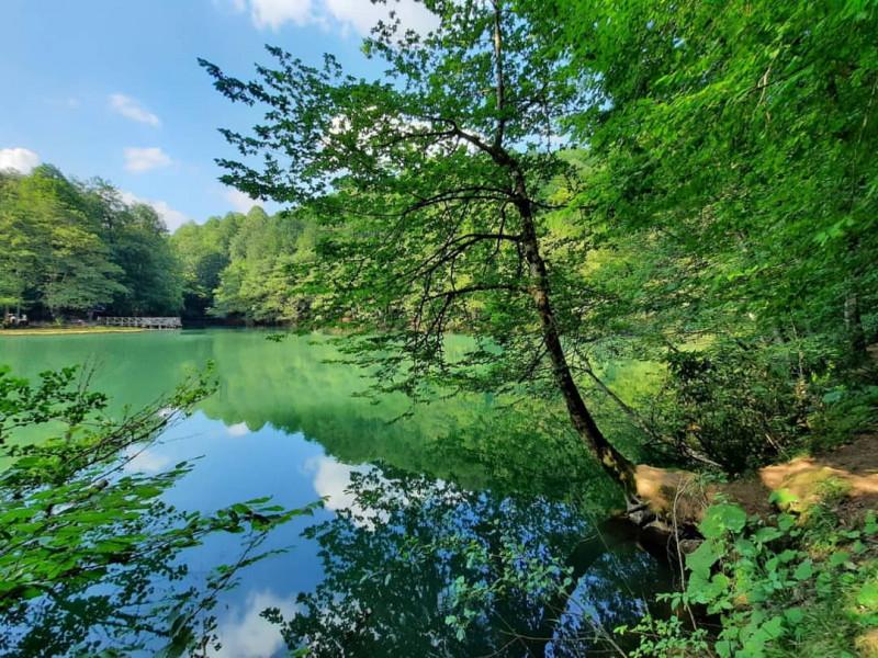 Yedigöller Turu İznik Çıkışlı