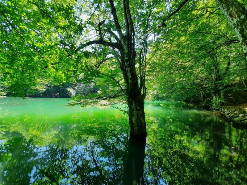 Yedigöller Turu İznik Çıkışlı