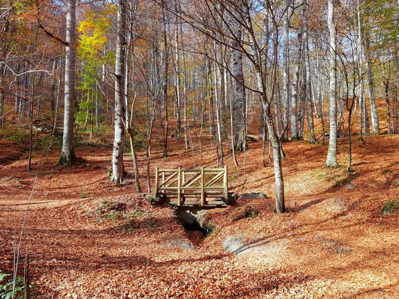 Yedigöller Turu İznik Çıkışlı
