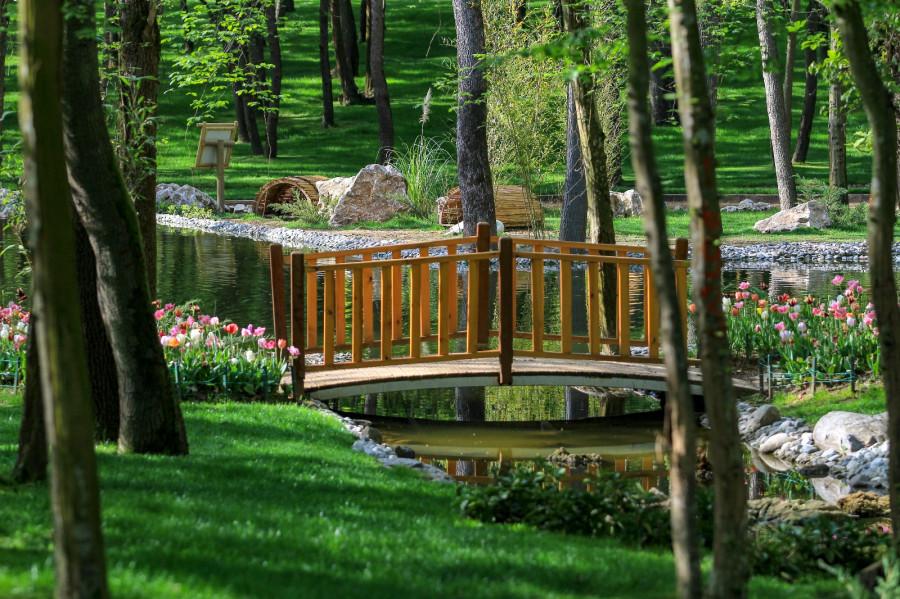 Günübirlik Ormanya Hobbit Evleri Sapanca Maşukiye Teleferik Turu