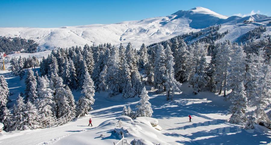 Uludağ Turu Günübirlik