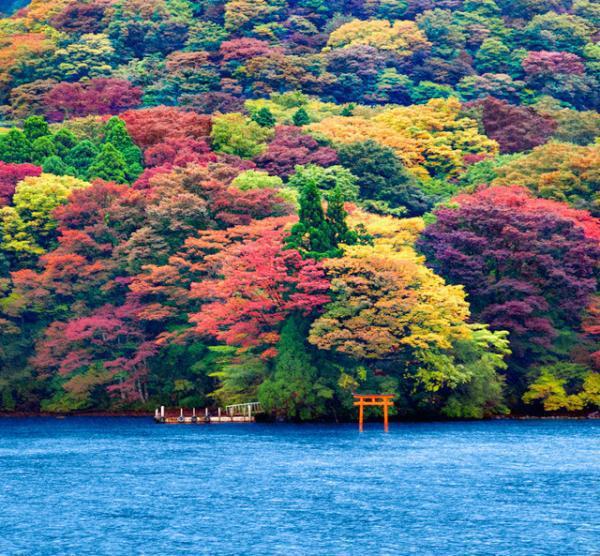 Elegant Japonya & Güney Kore THY ile 9 Gece ( ICN-NRT ) FL001