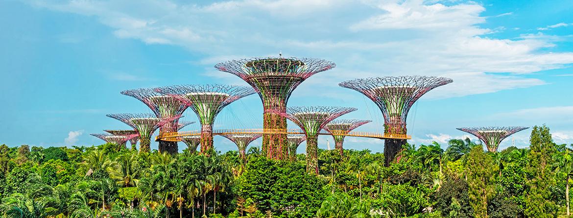 Maldivler & Singapur & Phuket Turu Qatar Havayolları ile 8 Gece 10 Gün NLE-HKT FL001