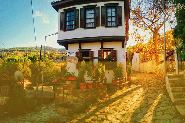 YURT İÇİ TURLARI