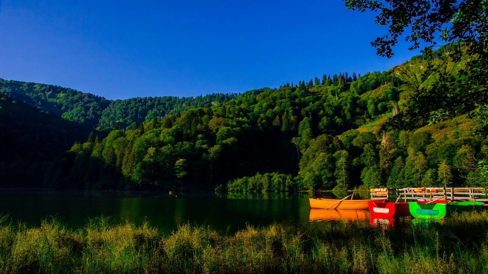 Erdek Çıkışlı Karadeniz Batum Turu