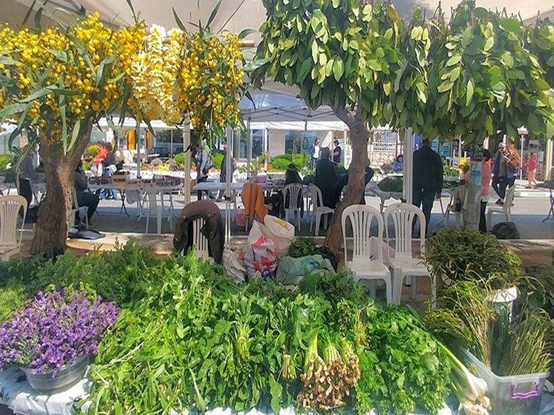 ALAÇATI OT FESTİVALİ TURU