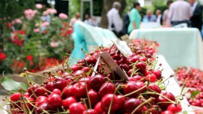 KEMALPAŞA KİRAZ FESTİVALİ