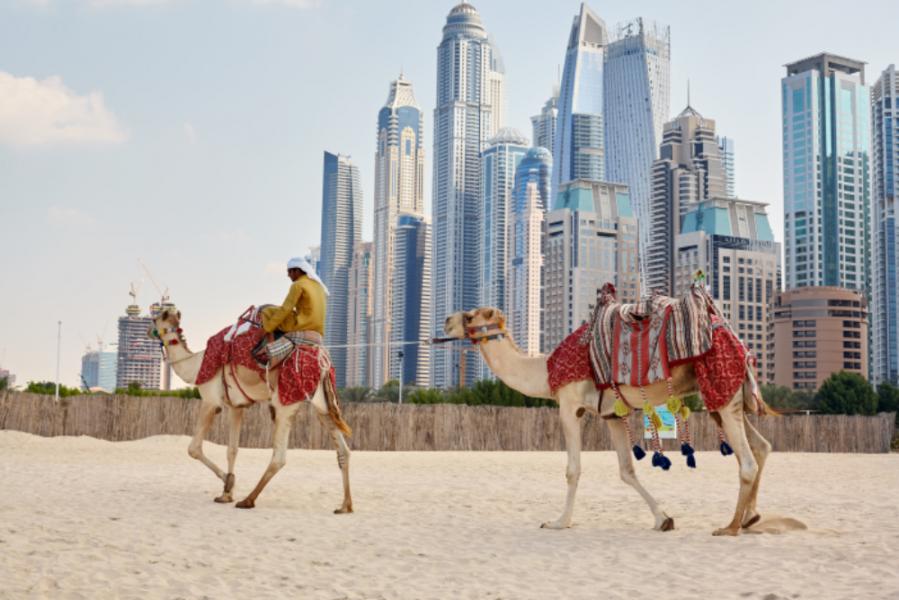 Dubai & Legoland Turu G9 2025