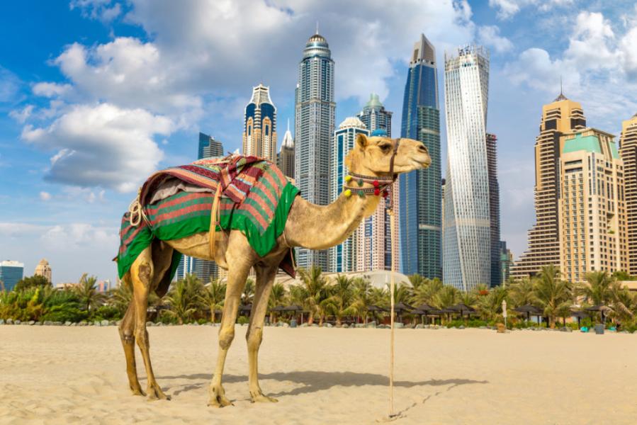 Dubai & Legoland Turu G9 2025