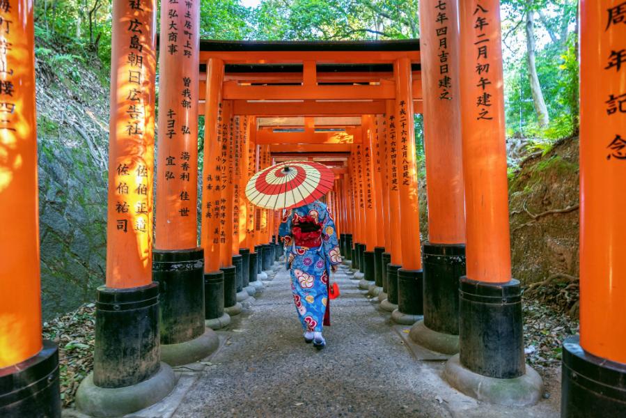Elegant Japonya Turu (7 Gece)