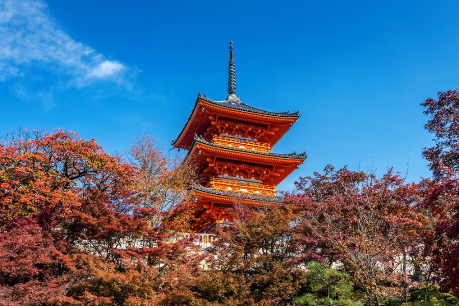 Elegant Japonya Turu (7 Gece)