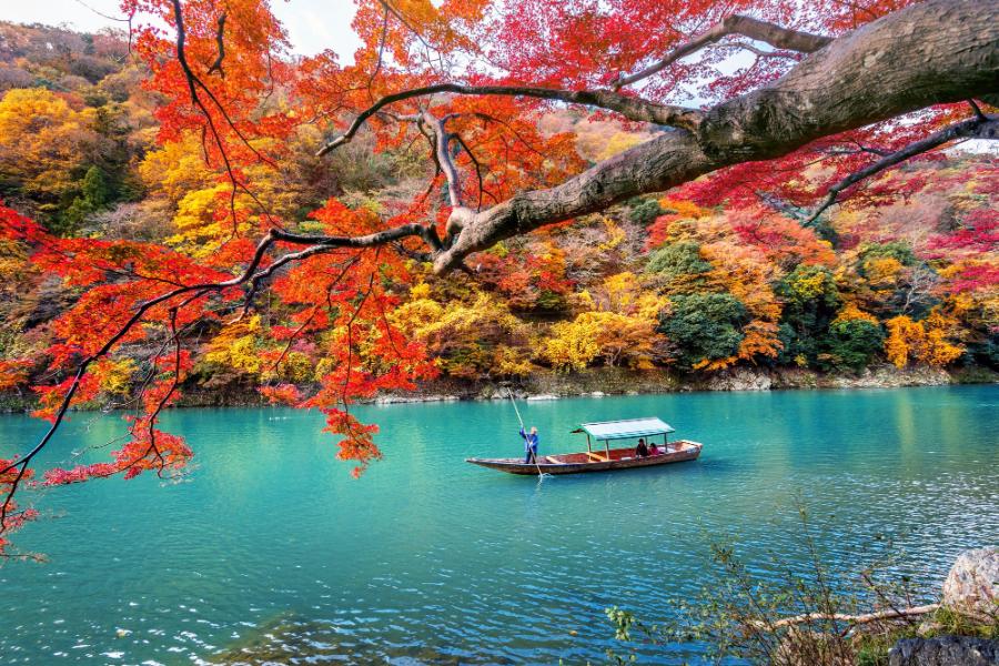 Elegant Japonya Turu (7 Gece)