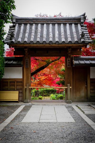 Elegant Japonya Turu (7 Gece)