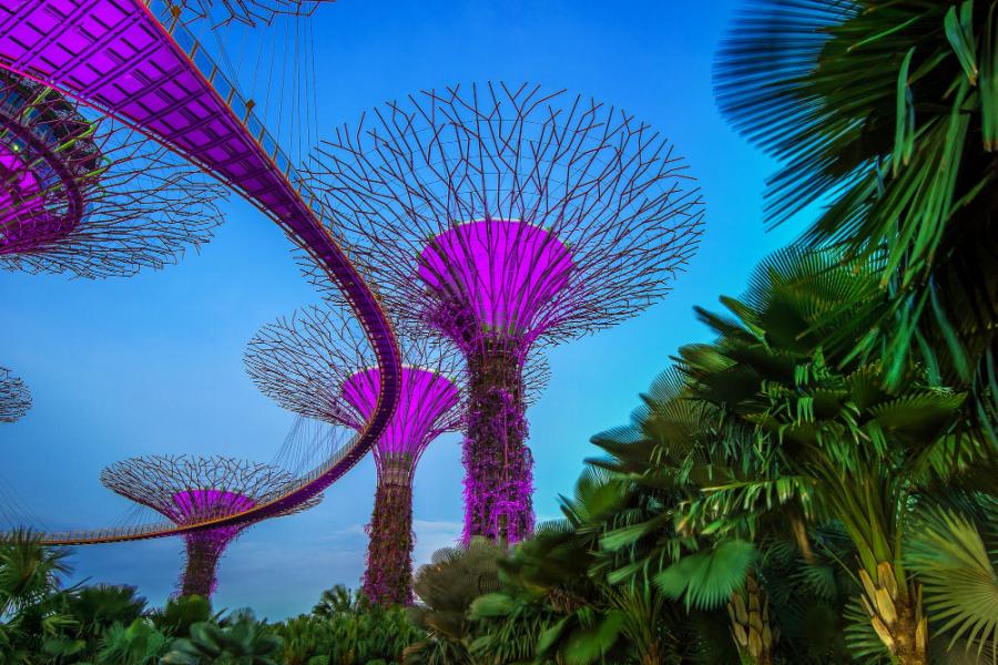 Singapur & Bali Turu
