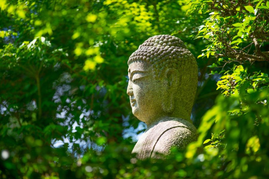 Türk Hava Yolları ile Grand Japonya Turu