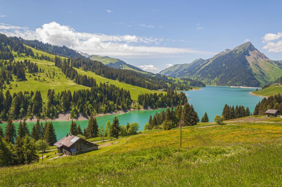 Alpler'in Kalbinde İsviçre Turu Zürih- Bern-Cenevre Turu
