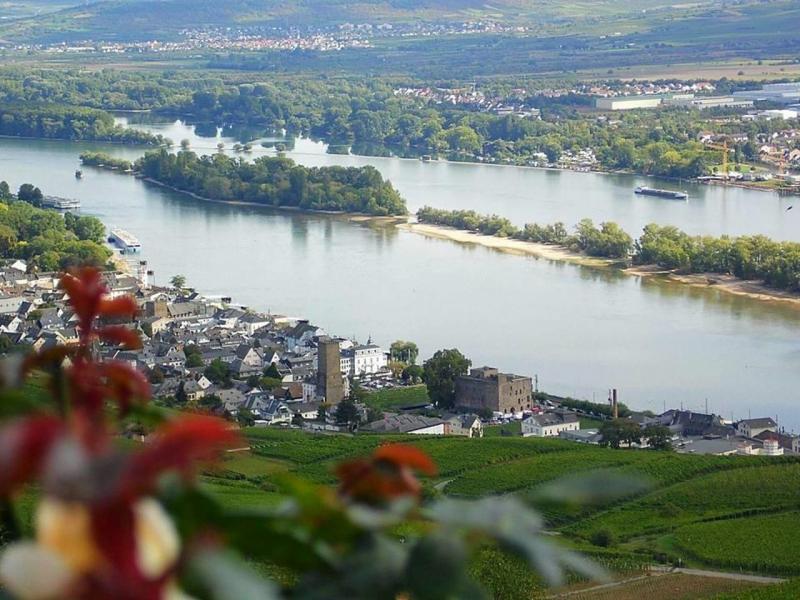 Masallar Vadisi Ren, Alsace, Alpler Turu