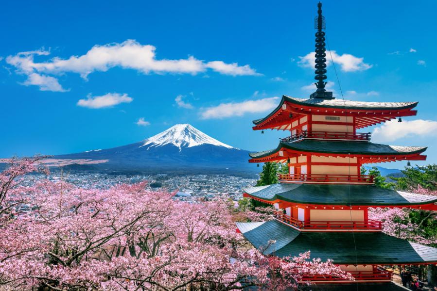 Emirates Hava Yolları ile Elegant Japonya & Güney Kore Turu 9 Gece