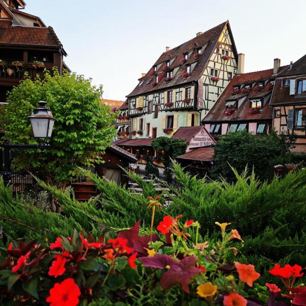 Ankara Hareketli Grand Benelüks & Paris & Alsace ve Disneyland Turu 