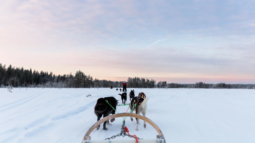 Kuzey Işıkları & Lapland Turu