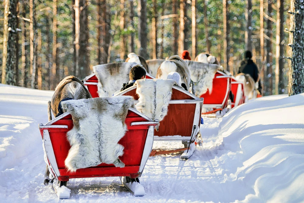 Kuzey Işıkları & Lapland Turu