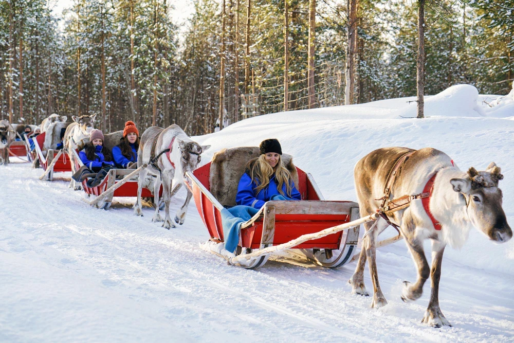 Kuzey Işıkları & Lapland Turu