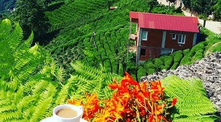 Uçaklı Doğu Karadeniz Yaylalar ve Batum Turu (4 Gece 5 Gün)