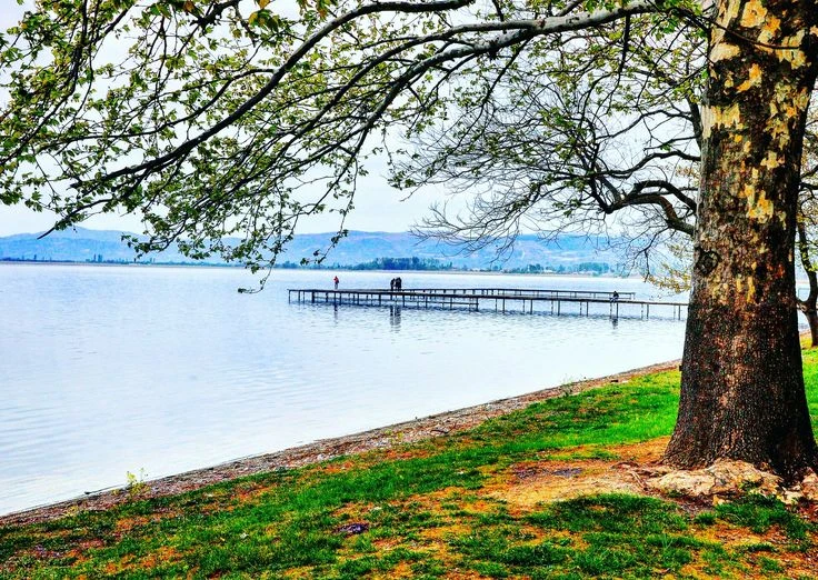 Günübirlik Orhangazi – Gedelek – İznik Turu