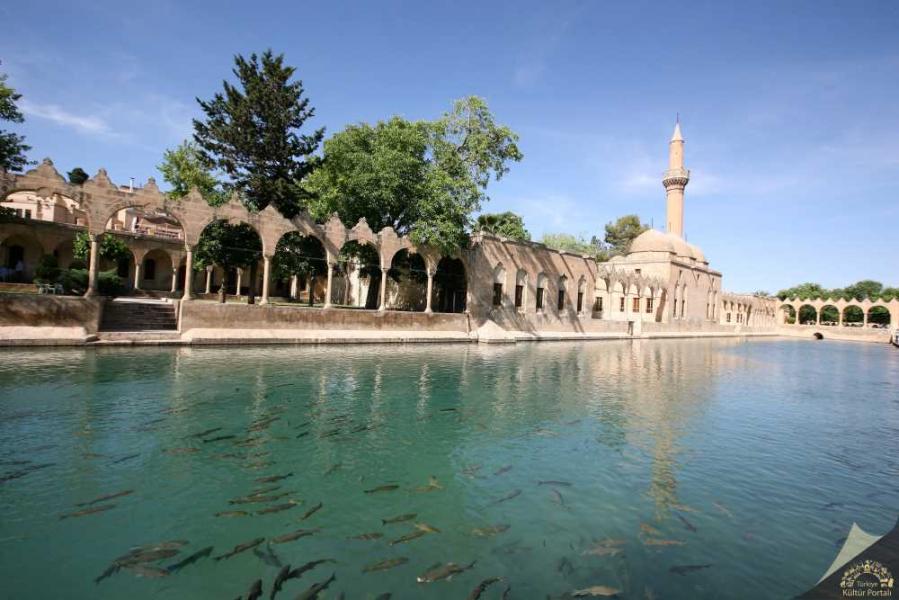 DOLU DOLU GÜNEY DOĞU
