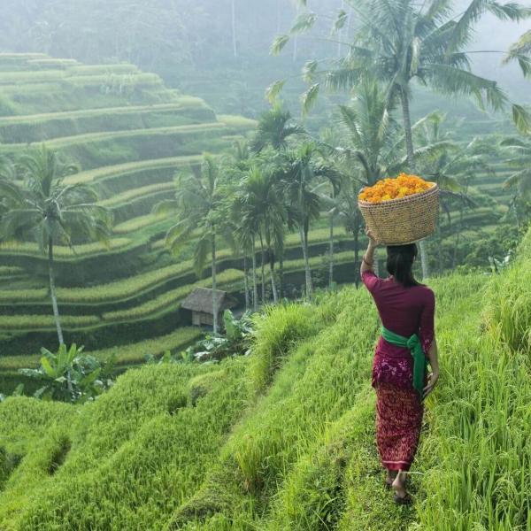 Rüya Ada Bali & Ubud Turu: Kurban Bayramı Özel & THY Konforuyla | Modatatil