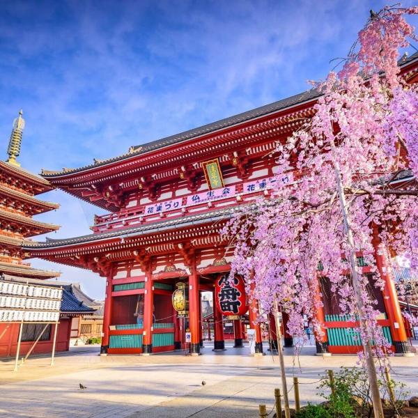 Japonya Kore Turu THY NRT İle 11 Gece 12 Gün - 2025