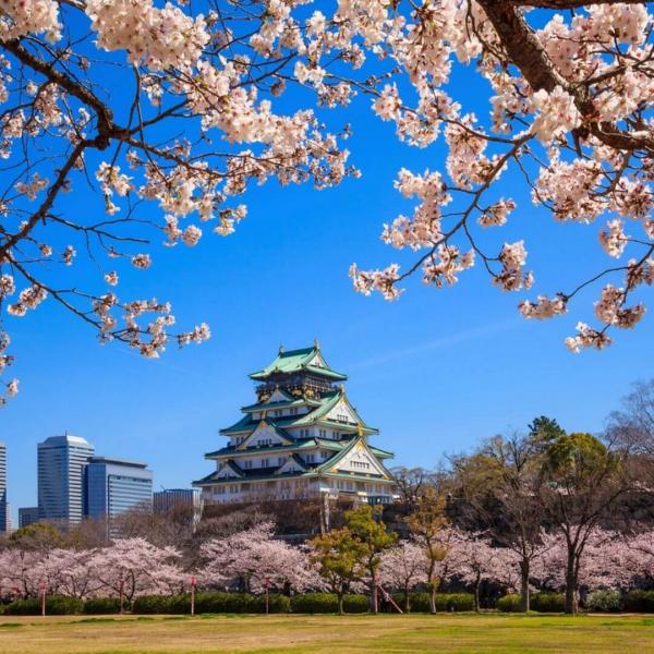Japonya Kore Turu THY NRT İle 11 Gece 12 Gün - 2025