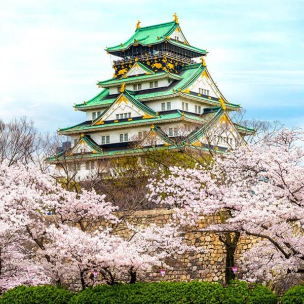 Japonya Turu 8 Gece – 10 Gün Miat Hava Yolları ile EJ001