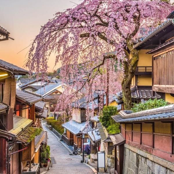 Japonya Turu 8 Gece – 10 Gün Miat Hava Yolları ile EJ001