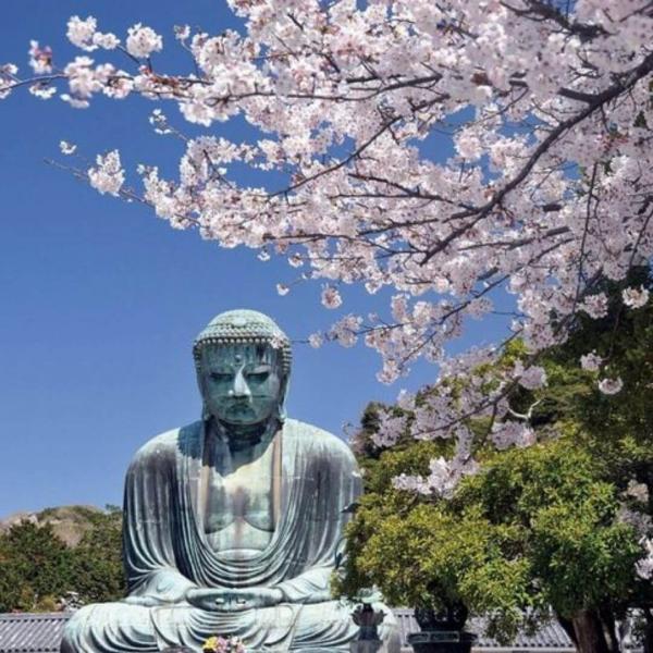 Japonya Turu 8 Gece – 10 Gün Miat Hava Yolları ile EJ001