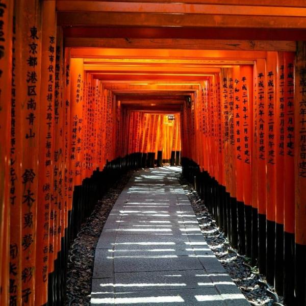 Japonya Kore Turu 2025 10 Gece – 12 Gün Asiana Hava Yolları ile Herşey Dahil