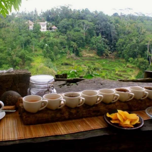 Papua Yeni Gine Turu THY İle 9 Gece 10 Gün