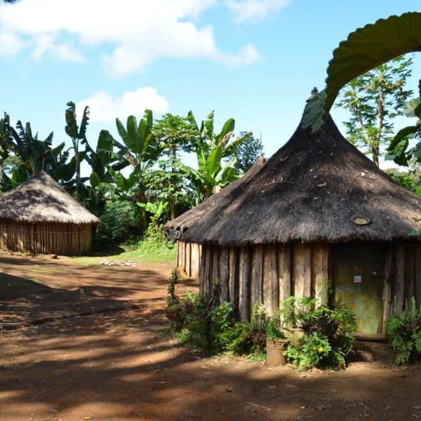 Papua Yeni Gine Turu THY İle 9 Gece 10 Gün