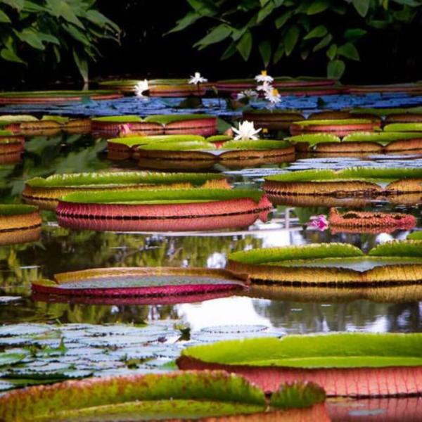 Papua Yeni Gine Turu THY İle 9 Gece 10 Gün