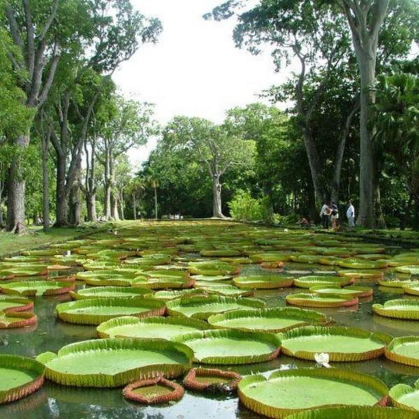 Papua Yeni Gine Turu THY İle 9 Gece 10 Gün