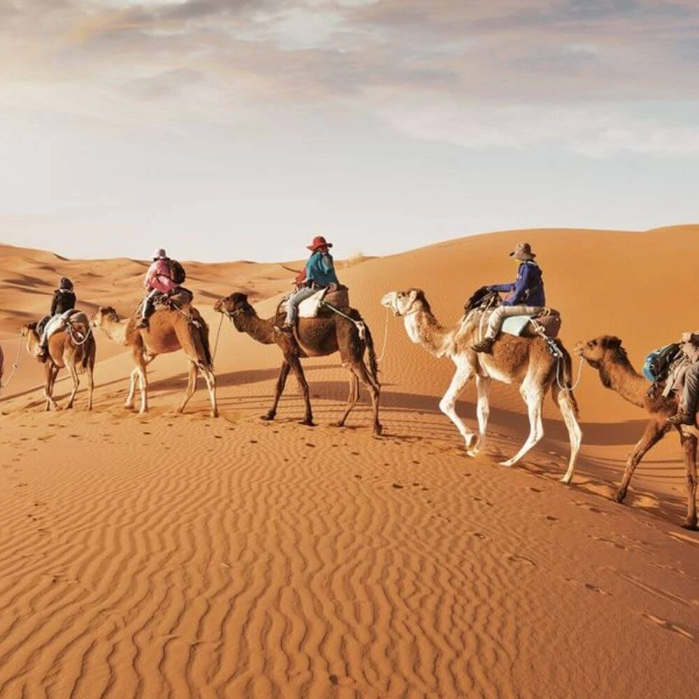 Sömestre Özel Dubai Turu (3 Gece) Emirates ile | Modatatil 