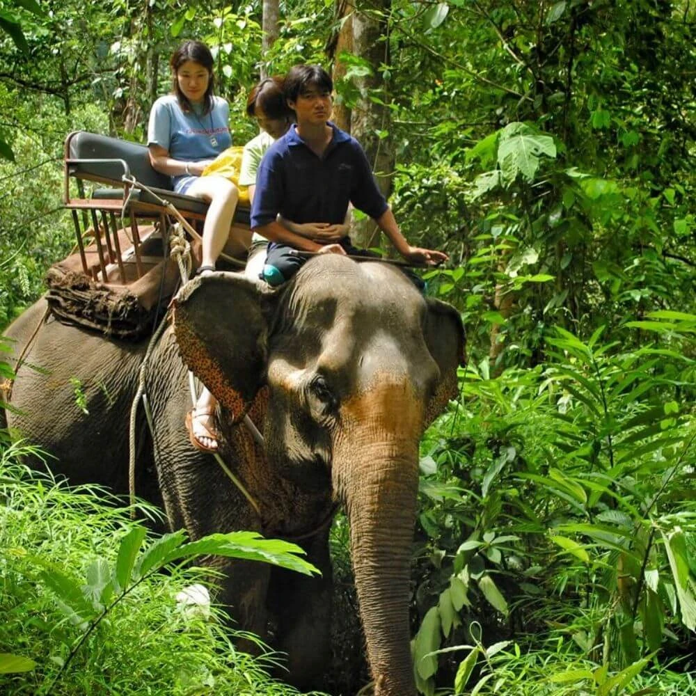 Elegant Phuket Turu Türk Hava Yolları İle 5 Gece 6 Gün ( HKT - HKT )