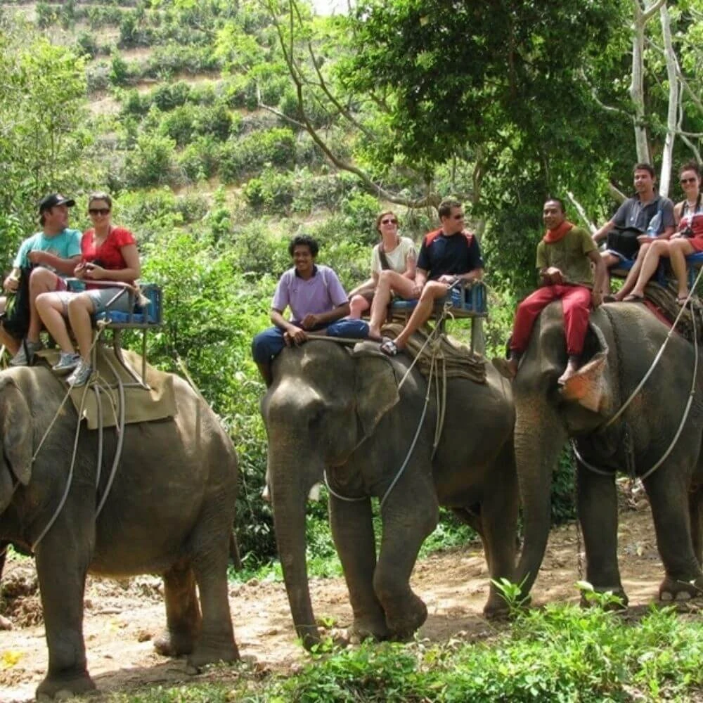 PHUKET 5 GECE 7 GÜN 5* OTEL 4 PAX ÖZEL GRUP