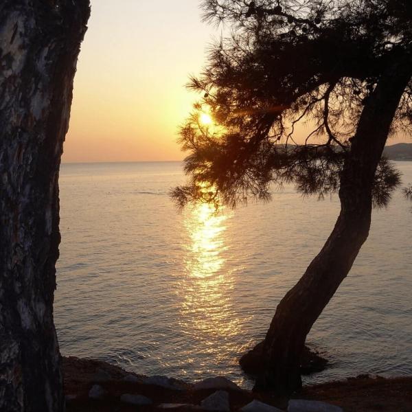 Halkidiki Selanik Paralia ve Thassos Adası Turu Otobüs İle 3 Gece 4 Gün