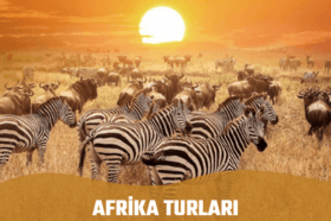 Afrika Turları
