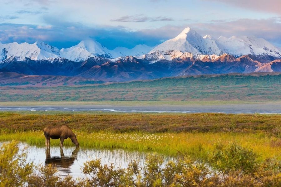 Alaska’da Gezilecek Yerler